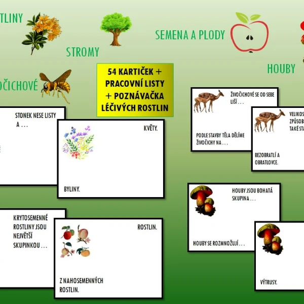 Rostliny, stromy, semena a plody, houby a živočichové 1