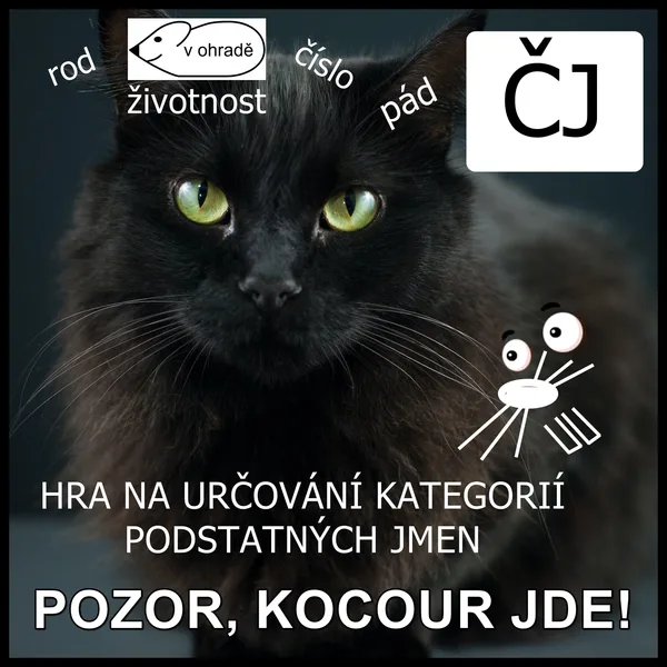 KATEGORIE PODSTATNÝCH JMEN 1