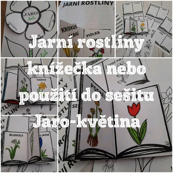 Jarní rostliny - knížečka do sešitu 1