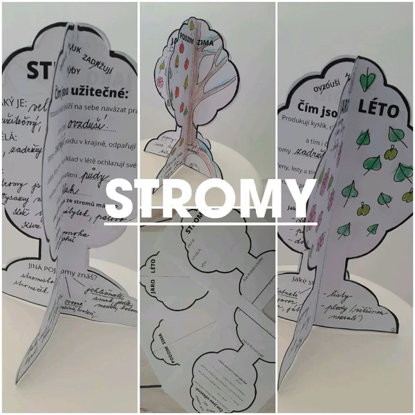 STROMY 1