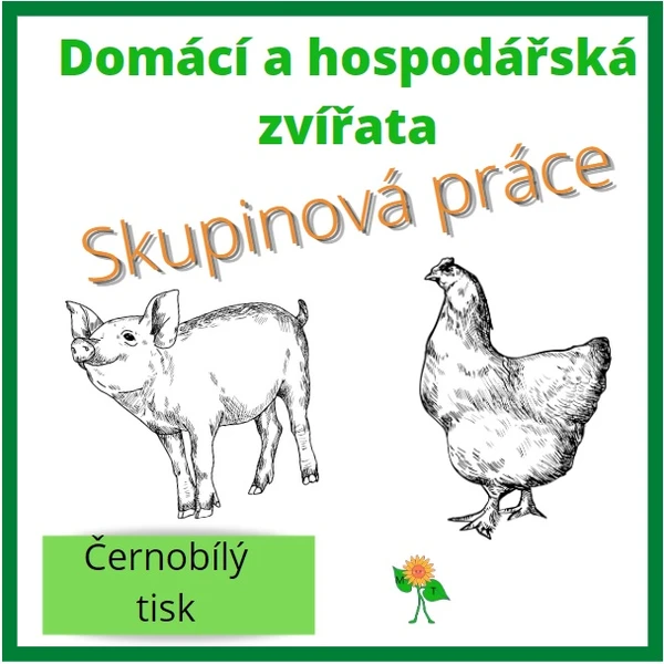 Domácí a hospodářská zvířata 1
