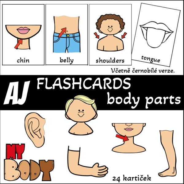 Flashcards - body parts (části těla) 1