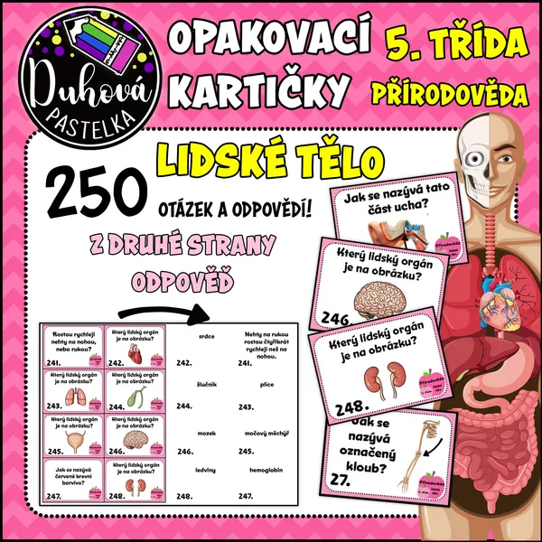 Opakovací kartičky - LIDSKÉ TĚLO - přírodověda 1