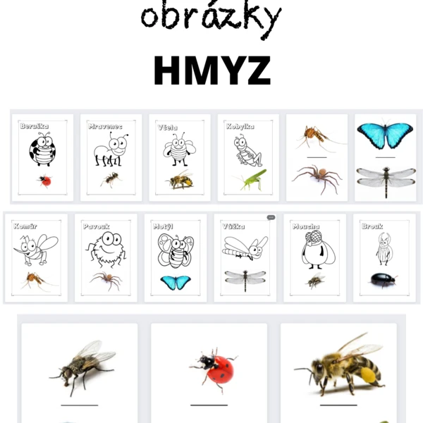 Demostrační obrázky - HMYZ + kreslený hmyz 1