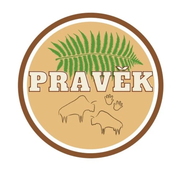 Postřehová hra - pravěk  1