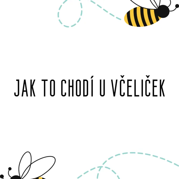 Jak to chodí u včeliček 1