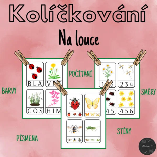 Květiny a hmyz, kolíčkování 1