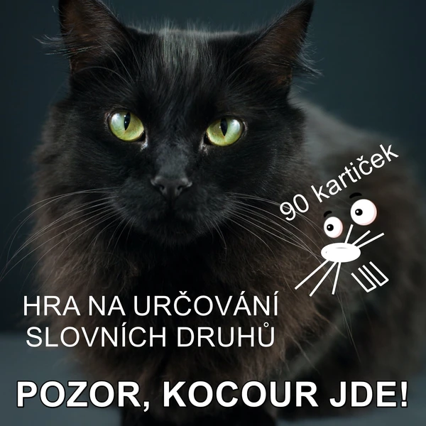 SLOVNÍ DRUHY 1