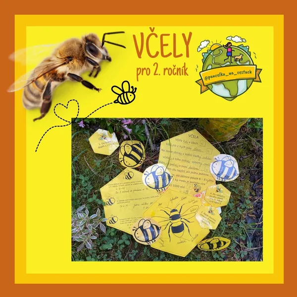 VČELY 🐝 pro 2. ročník 1