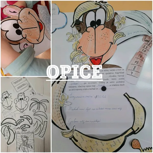 Opice 2.-3. třída 1