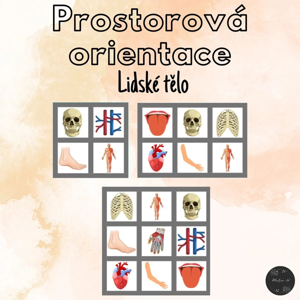 Lidské tělo, prostorová orientace 1