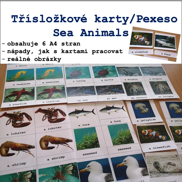Třísložkové karty/Pexeso Sea Animals 1