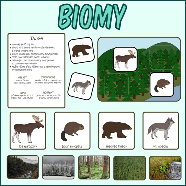 Biomy 1