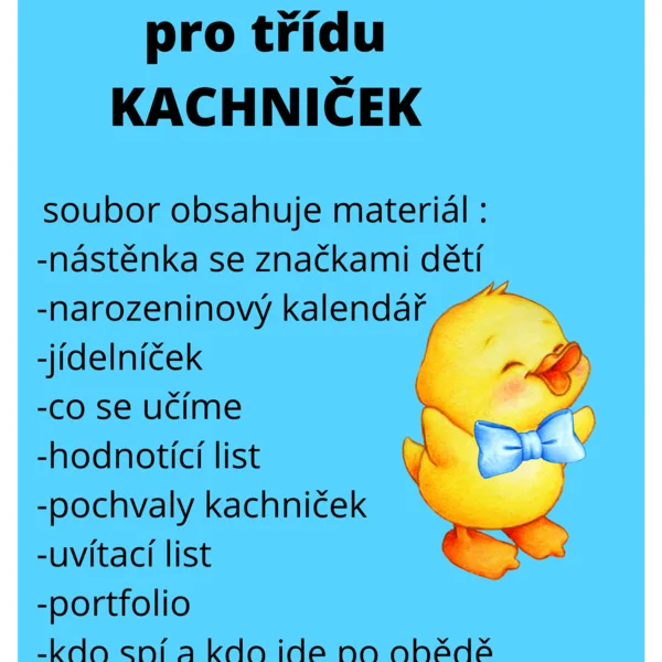 Třída kačenek 1
