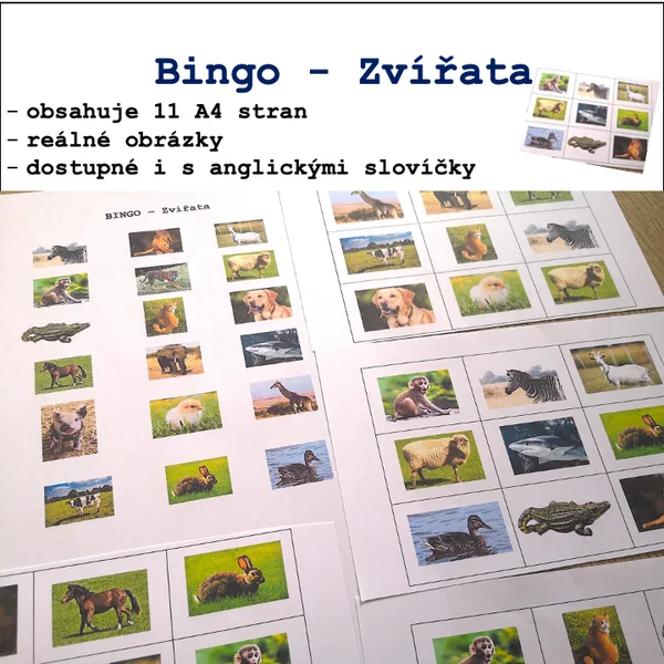 Bingo - Zvířata 1
