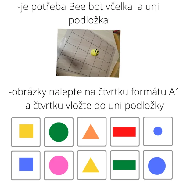 Bee bot -TVARY 1