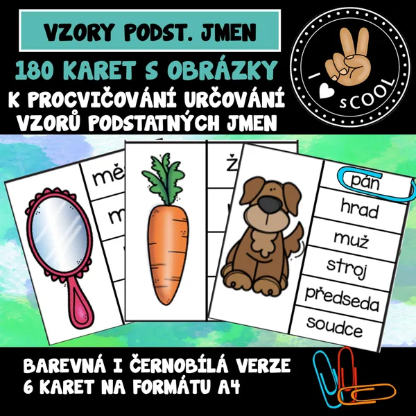 Vzory podstatných jmen 1