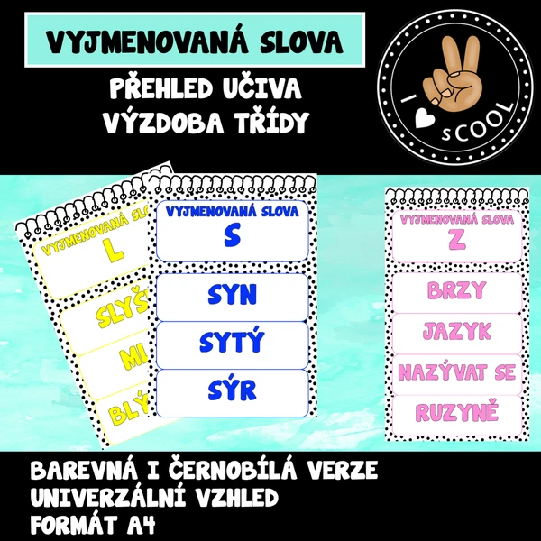 Vyjmenovaná slova - přehled učiva 1