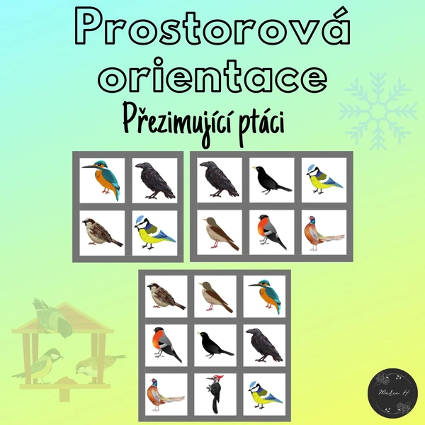 Přezimující ptáci, prostorová orientace 1