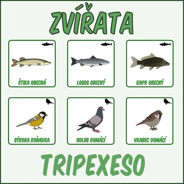 Zvířata - Tripexeso 1