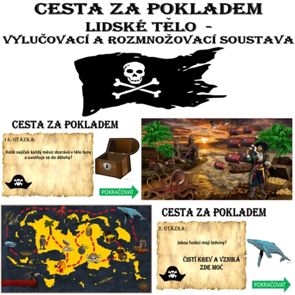 Cesta za pokladem - vylučovací a rozmnožovací soustava 1