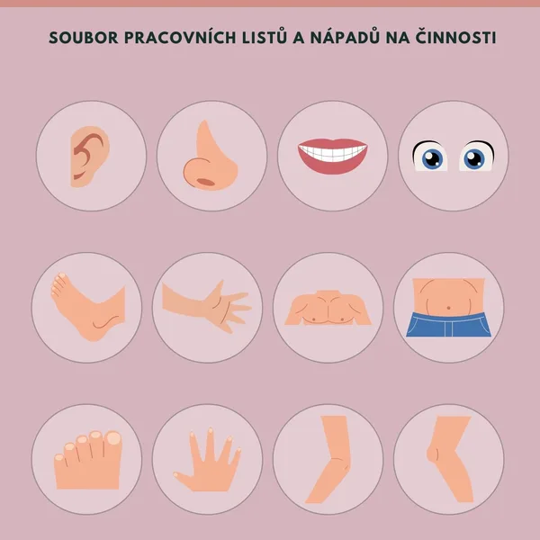 LIDSKÉ TĚLO pracovní listy a činnosti 1