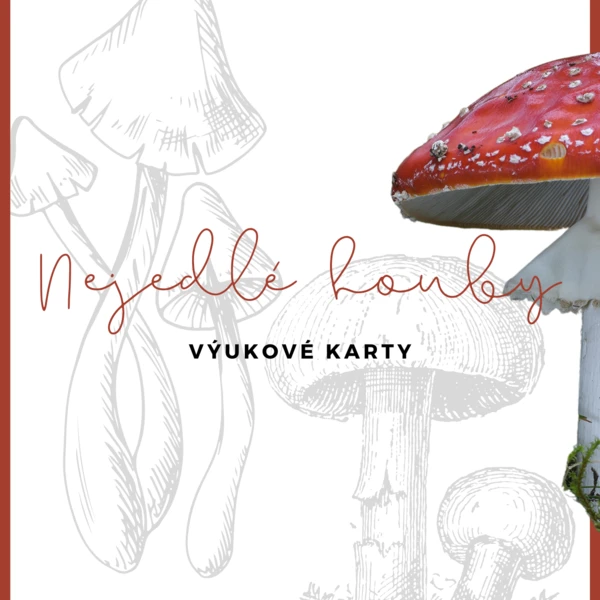 Výukové karty "NEJEDLÉ HOUBY" 1