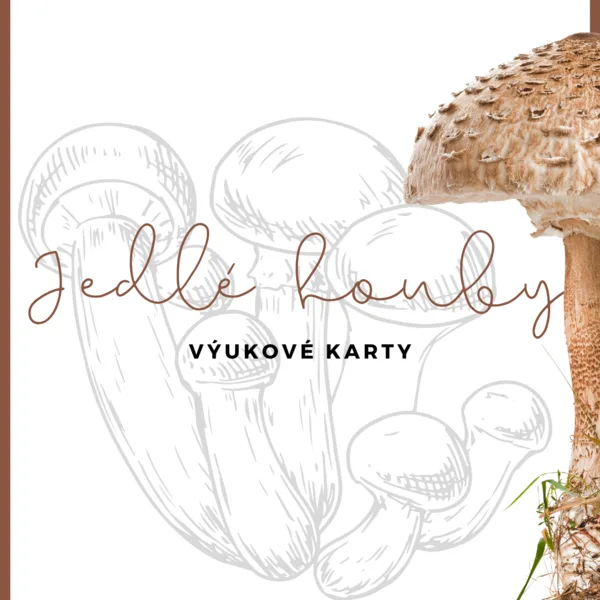 Výukové karty "JEDLÉ HOUBY" 1