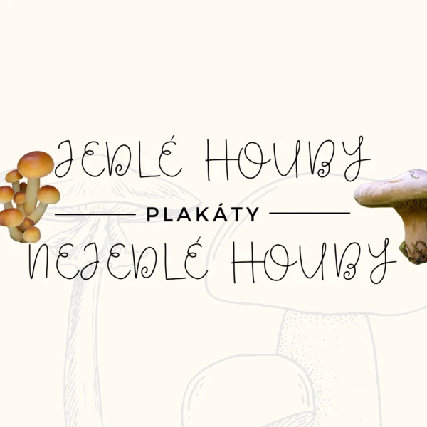 PLAKÁTY "JEDLÉ A NEJEDLÉ HOUBY" 1