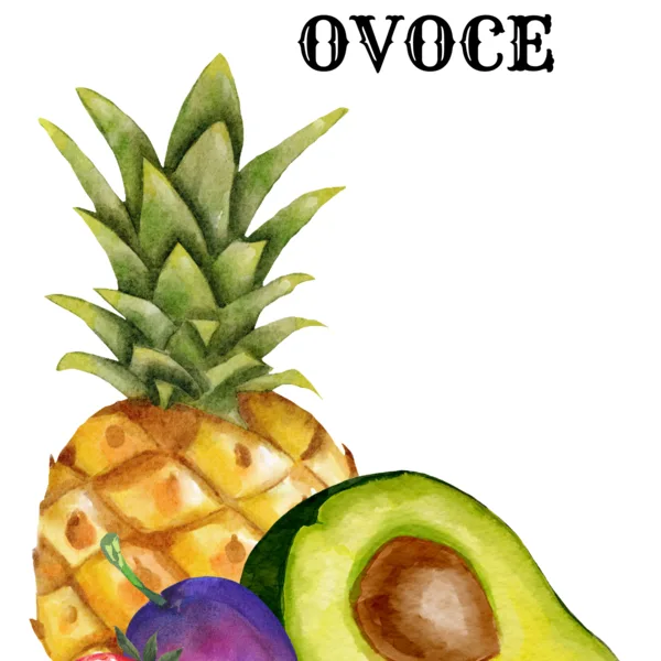 OVOCE - předmatematické představy 1