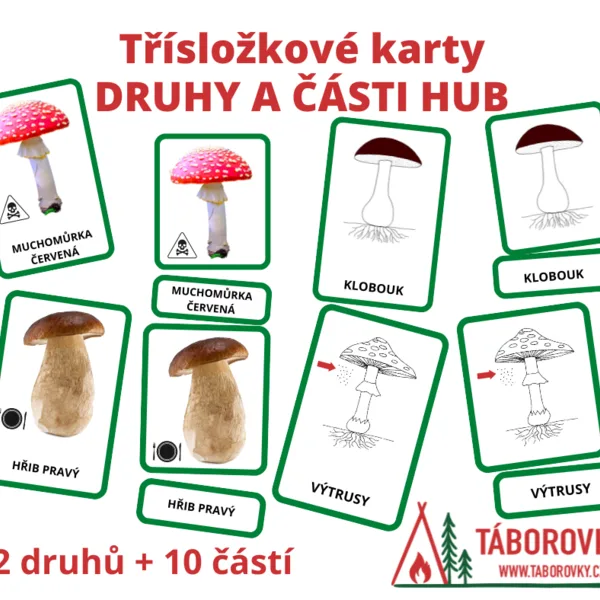 Třísložkové karty druhy a části hub 1