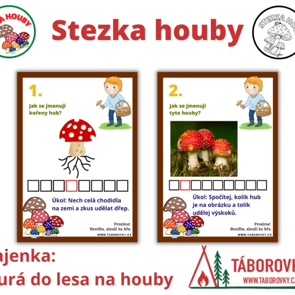 Stezka houby 1