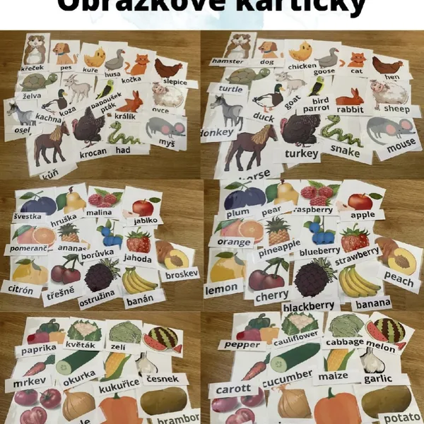 Obrázkové kartičky 1