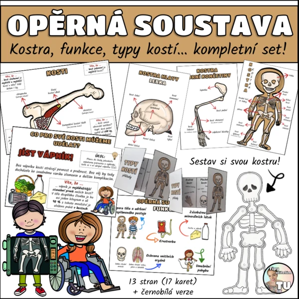 Opěrná soustava (kosterní), kostra - kompletní set 1