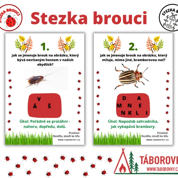 Stezka - brouci 1