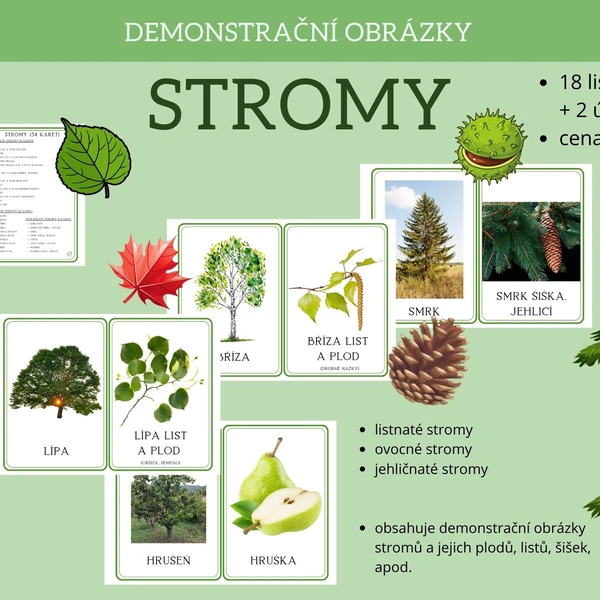 STROMY - demonstrační obrázky 1