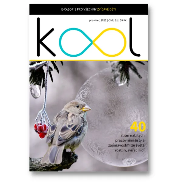 KOOL 12/22 1