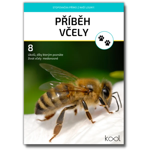 Příběh včely (stopovačka o včele medonosné) 1