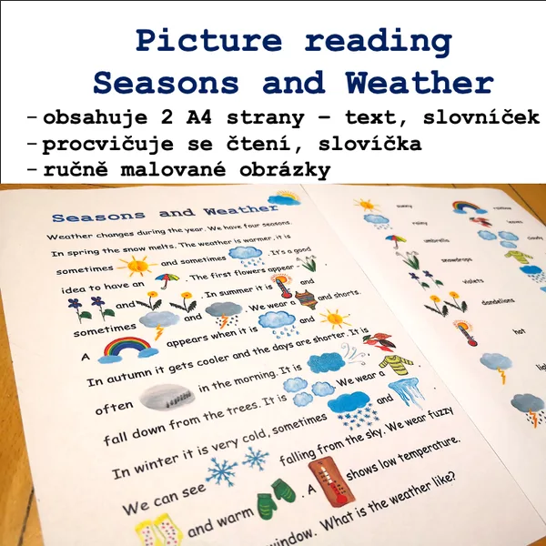 Picture reading - Seasons and Weather 1