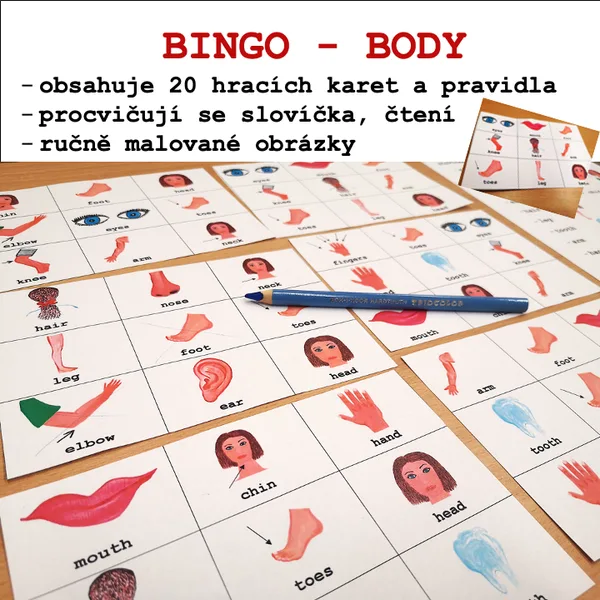 Bingo - BODY 1