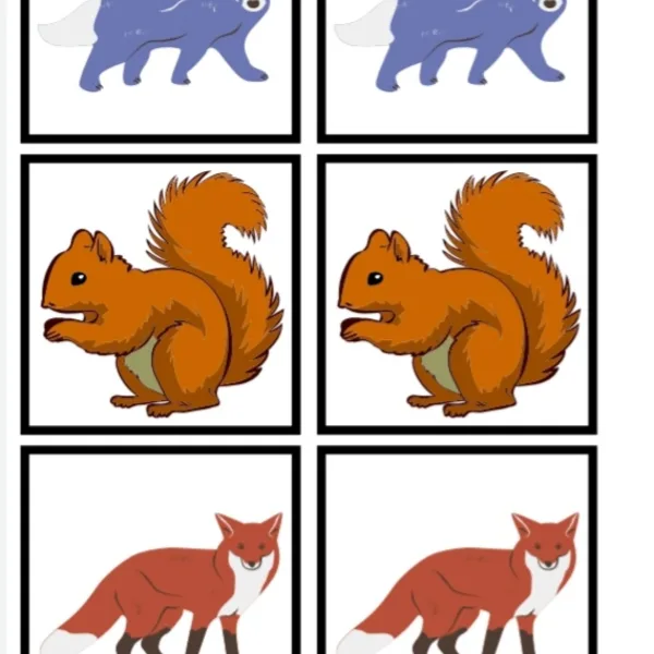 LESNÍ ZVÍŘATA 1
