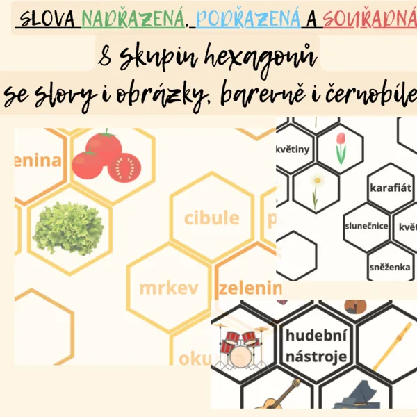 Slova nadřazená, podřazená a souřadná 1