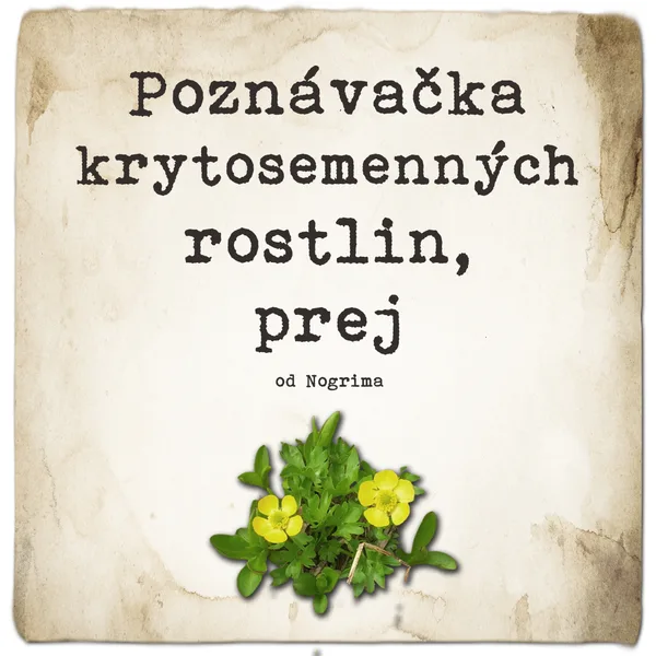 Poznávačka krytosemenných rostlin, prej [Nogrim] 1