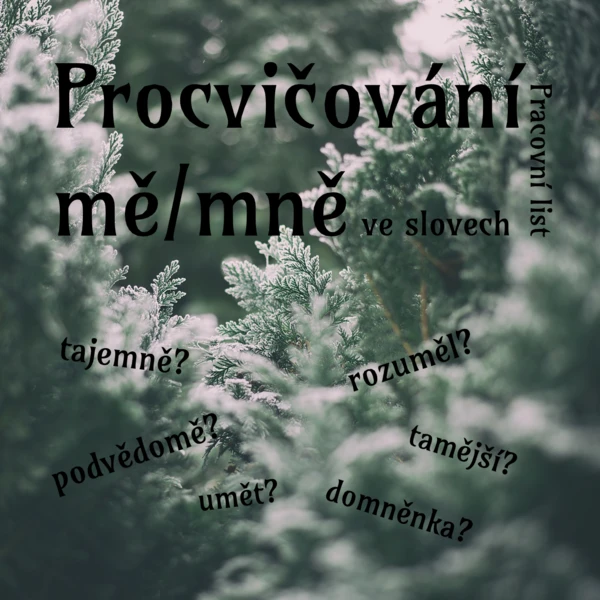 Pracovní list - procvičování mě/mně ve slovech 1