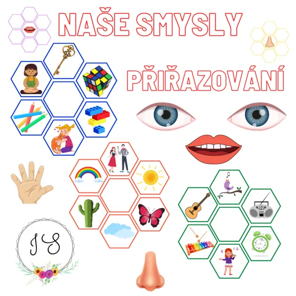 Naše smysly - přiřazování 1