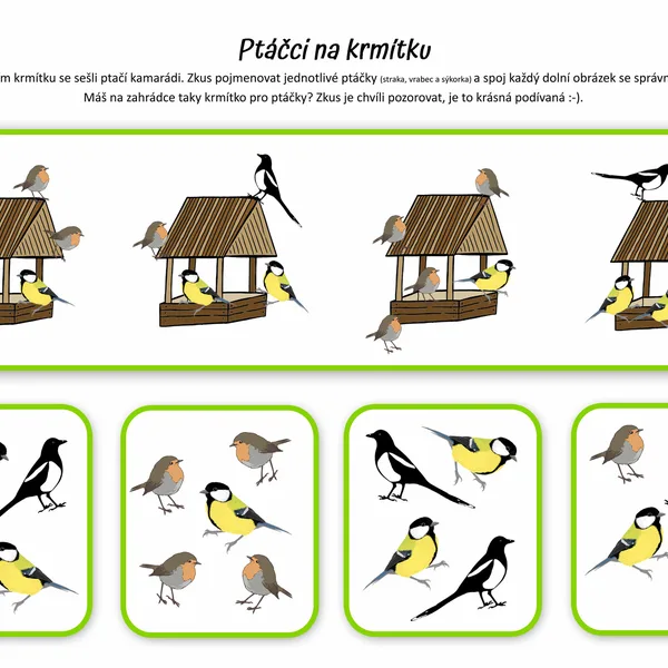 5+1 ptačích aktivit do škol(l)y i na doma (3-7 let) 1