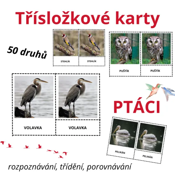 Třísložkové karty - PTÁCI (50 druhů) 1