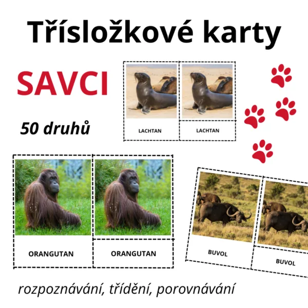 Třísložkové karty - SAVCI (50 druhů) 1