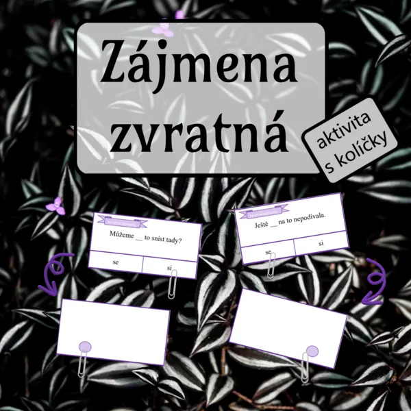 Zvratná zájmena - aktivita s kolíčky 1