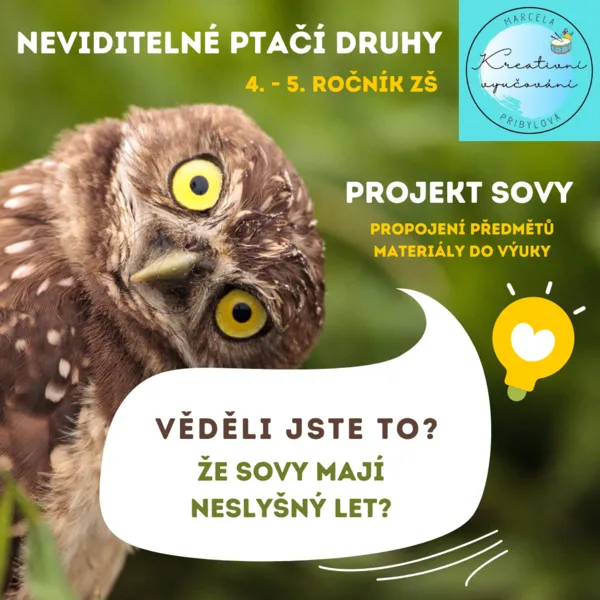 Neviditelné ptačí druhy - Projekt SOVY 1